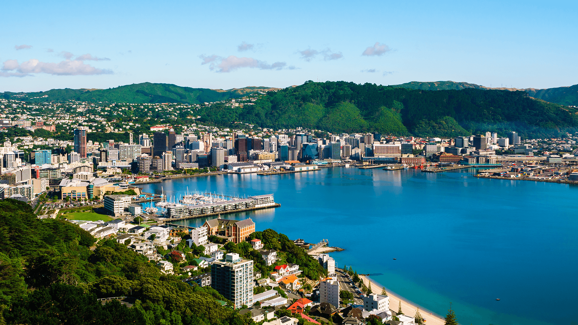 Wellington, New Zealand cityscape